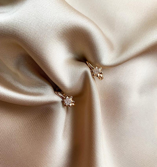 Rose gold earrings with zircon